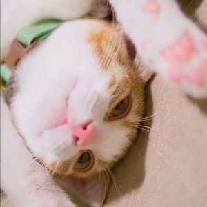 Meet your Posher, Catherine